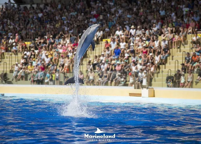 Lejlighed Sleep In City Center Antibes