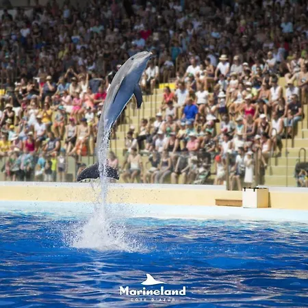 Apartment Sleep In City Center Antibes